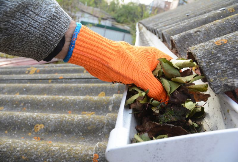 Rain Gutter Clearing in Richmond, VA