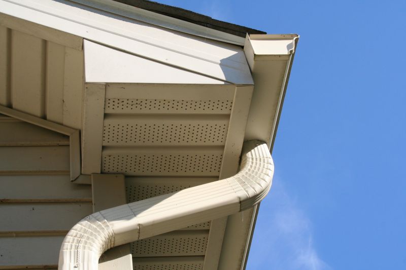 Downspout Cleaning in Annapolis, MD
