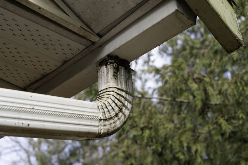 Downspout Cleaning in Richmond, VA