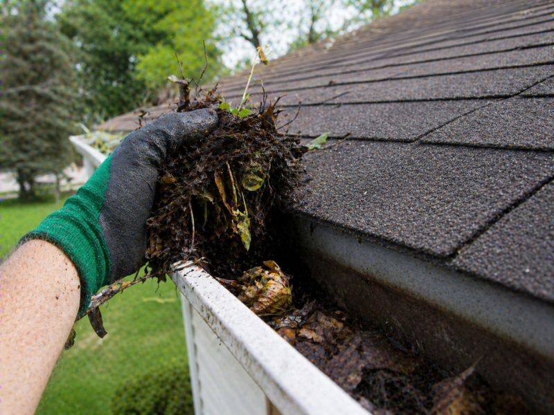Gutter Leaf Clearing in Arvada, CO