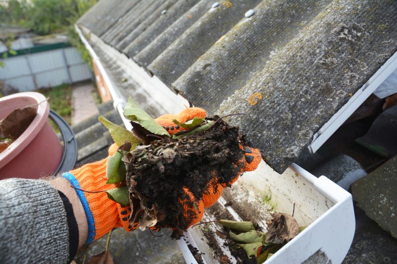 Gutter Leaves Removal in Monmouth County, NJ