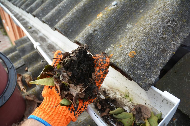 Gutter Leaves Removal in Annapolis, MD