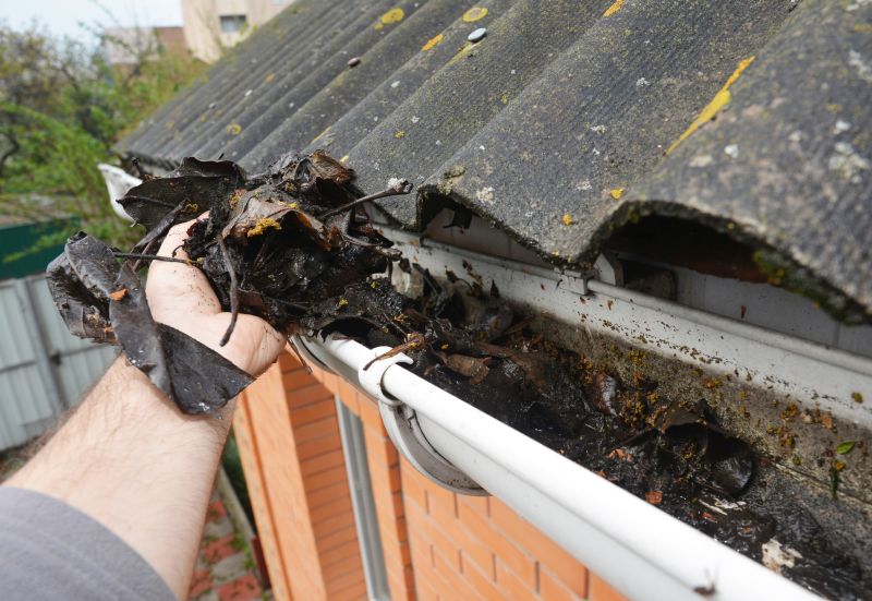 Gutter Leaves Removal in Richmond, VA